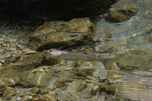 abenteuer_slowenienIMG_5636_01